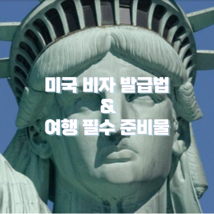  [NEW YORK/ 미국비자 발급법, 여행 필수 준비물] 10박 12일 미국 여행 - 0