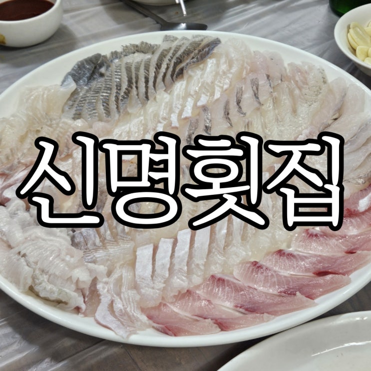  울산북구 나만 알았으면 하는 가성비 좋은 모둠회맛집 신명횟집