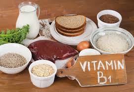 수용성 비타민 B1 포도당 대사 식욕 감퇴 근력 약화