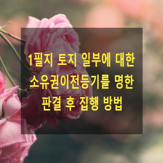  1필지 토지 일부에 대한 소유권이전등기를 명한 판결 후 집행 방법(등기 방법)