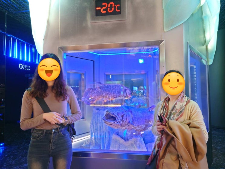 일본 "누마즈항 심해수족관"에서 실러캔스를 만나기 일본 "누마즈항 심해수족관"에서 실러캔스를 만나기