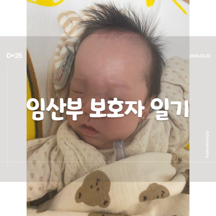 2024.02.22 임산부 보호자 일기 D+25일 2024.02.22 임산부 보호자 일기 D+25일