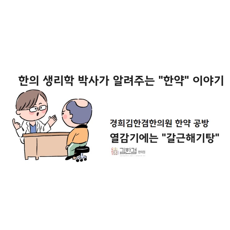  갈근해기탕 '독감, 열감기, 몸살에 좋은 보험 한약' 처방