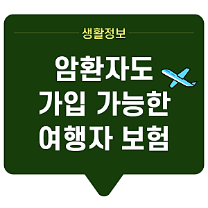 [생활정보]암 환자도 가입할 수 있는 해외 여행자 보험 알려드립니다! (광고 아님)