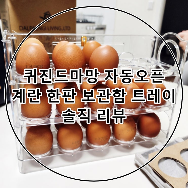 [내돈내산] 냉장고 자동 오픈 계란 보관함 리뷰