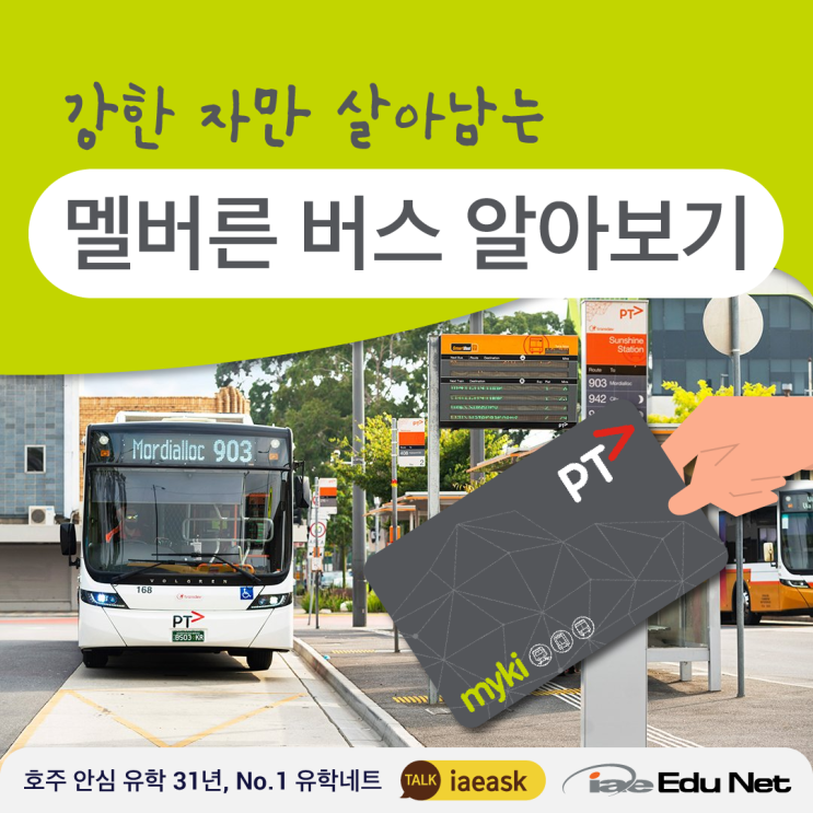 [멜버른 생활 정보] 멜버른 대중교통 버스 이용 꿀팁 | 버스 이용시 주의해야 할 점 | 마이키, PTV앱 | 호주 대중교통