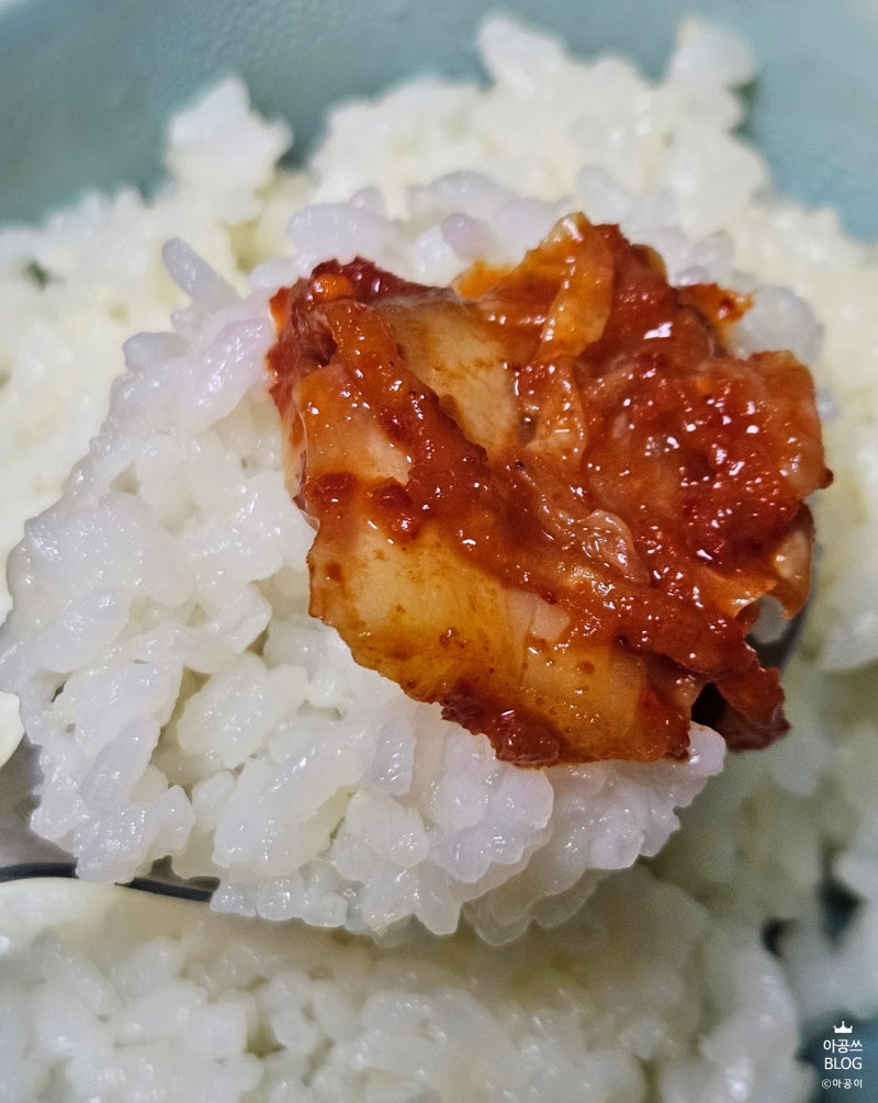 운림가 당일생산 전라도김치 포기김치 파김치 맛있는 김치 추천 (feat. 짜파게티, 카레)