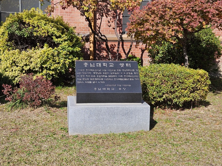 대전광역시 여행 (대전근현대사전시관 : 약 100년 간의 대전의 역사와 발전상, 원도심의 다양한 모습들을 볼수 있는 곳) 대전광역시 여행 (대전근현대사전시관 : 약 100년 간의 대전의 역사와 발전상, 원도심의 다양한 모습들을 볼수 있는 곳)