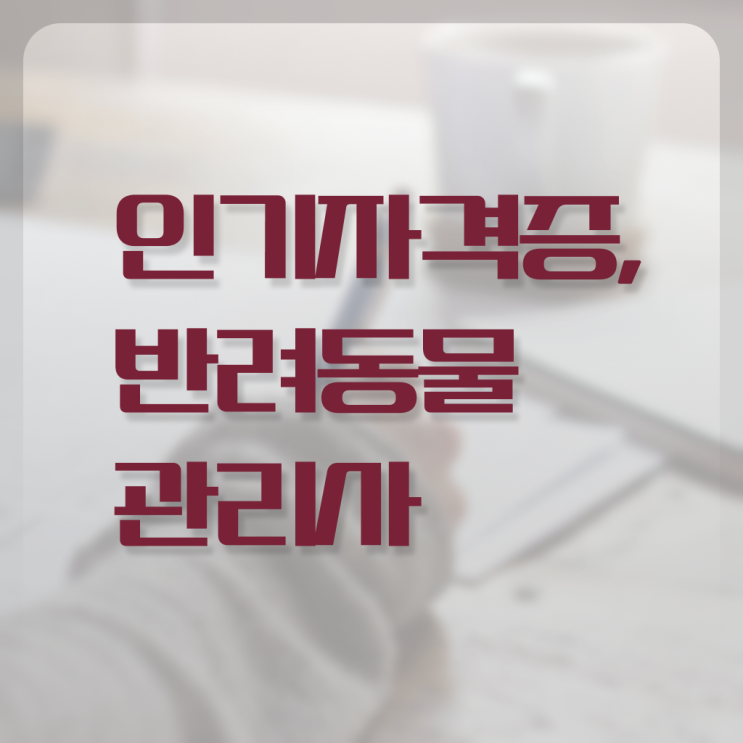  1급반려동물관리사전문교육원  반려동물관리사 무료 과정  정보꾸러미 !!!