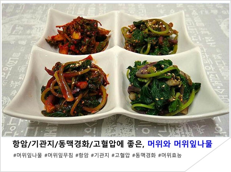  항암/기관지/동맥경화/고혈압에 좋은, 머위와 머위잎나물
