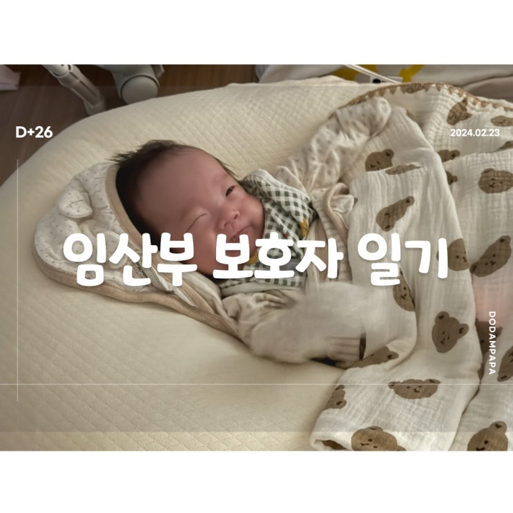 2024.02.23 임산부 보호자 일기 D+26일 2024.02.23 임산부 보호자 일기 D+26일