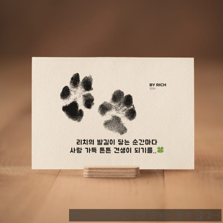 강아지 발도장 키트 셀프 이미지 굿즈까지! 이층사진관 너와함개