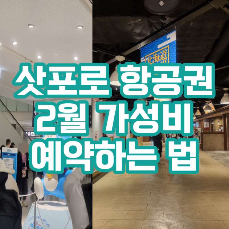  삿포로항공권 가성비 성수기 2월 예약하는법 (땡처리닷컴,티웨이,1인왕복20만원대)