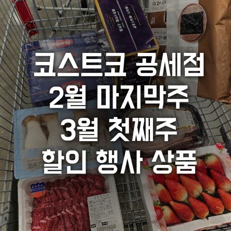  코스트코 공세점 2월 마지막 주 3월 첫째주 할인 행사 상품