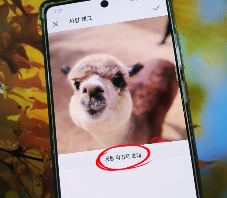  인스타 공동작업자 추가 및 삭제 수정 방법