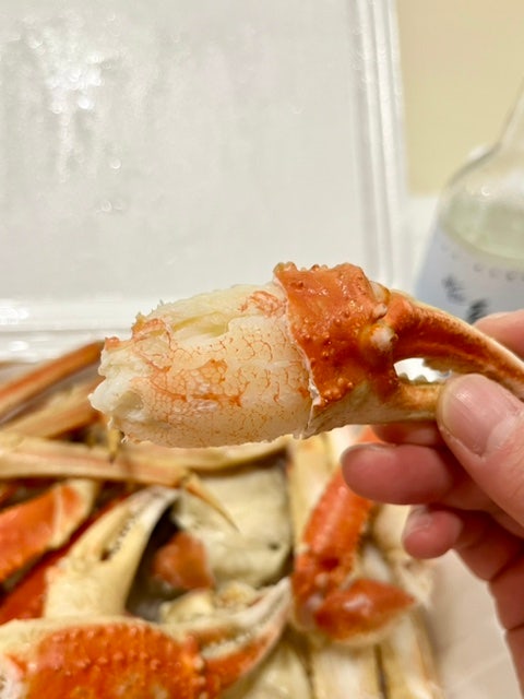  동해 묵호항 대게 맛집 혜성식당 대게랑 회