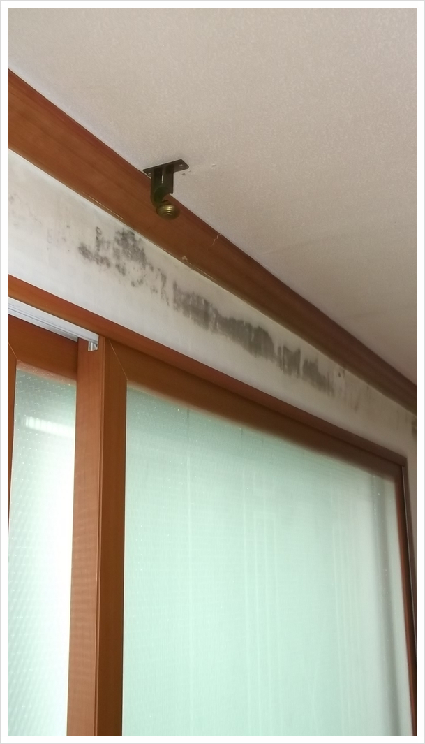  탑층 벽지 곰팡이제거 후 포자균 살균 해결!