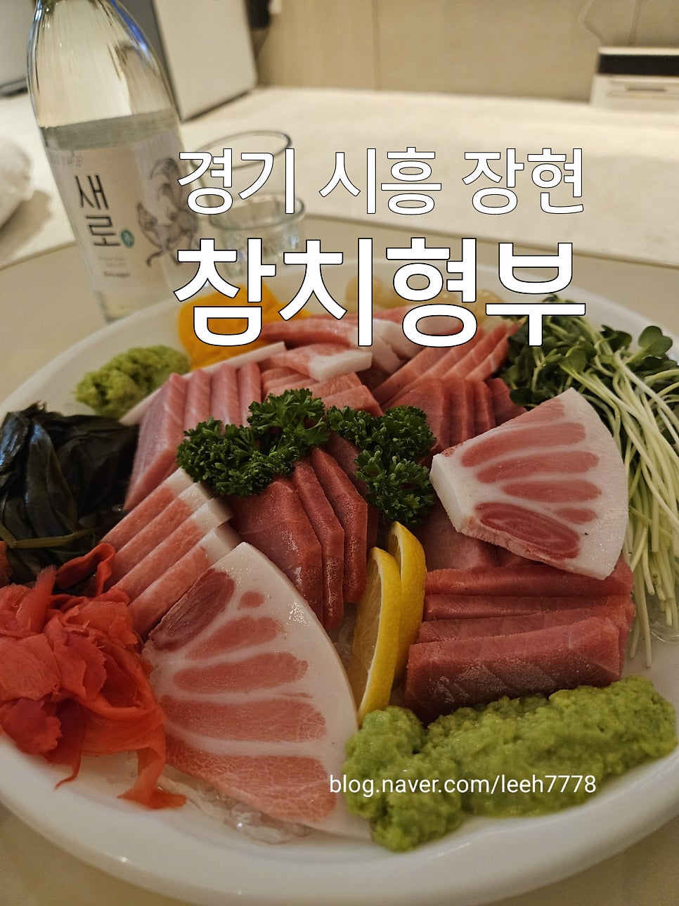 참치형부 사진 1