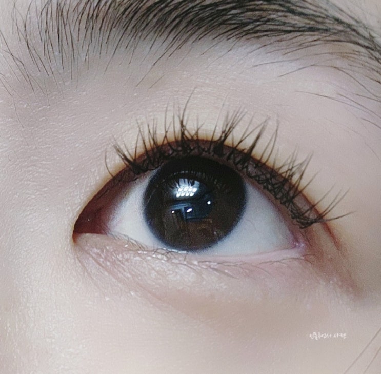  청주 속눈썹연장 펌 무이모네 찐텐으로 만족한 후기