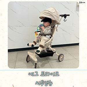 씨투엠뉴 에그 트라이크 휴대용 유모차 사용후기