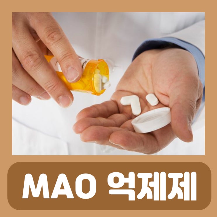  MAO 억제제 효능 아질렉트정