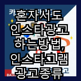  혼자서도 인스타광고 하는방법, 인스타그램 광고종류