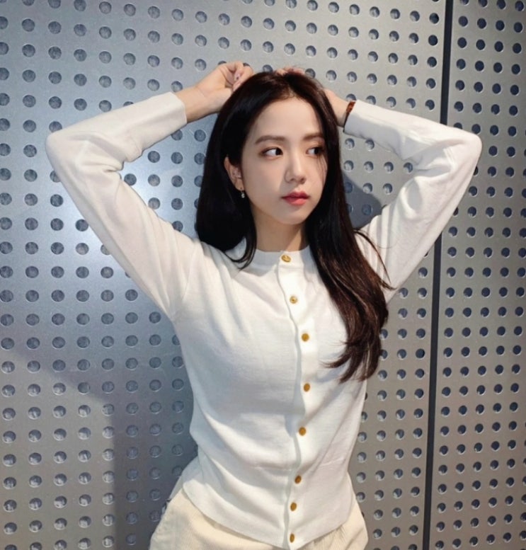  비비안웨스트우드 가디건 베아 코디 지수, 권은비, 성해은 등 (+디코드 직구 링크)