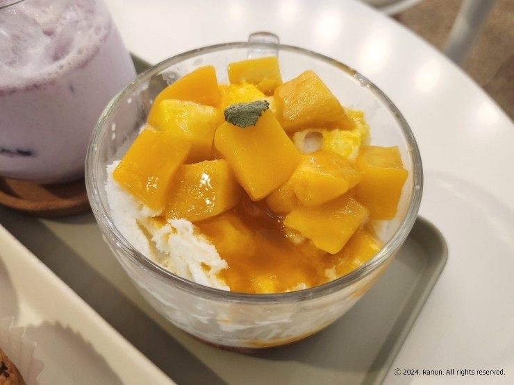  명학역 카페 디저트 빙수 맛집 애견 동반 가능 '카페미니'