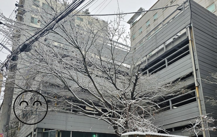  겨울 안녕...이젠 가도되지 않겠니?
