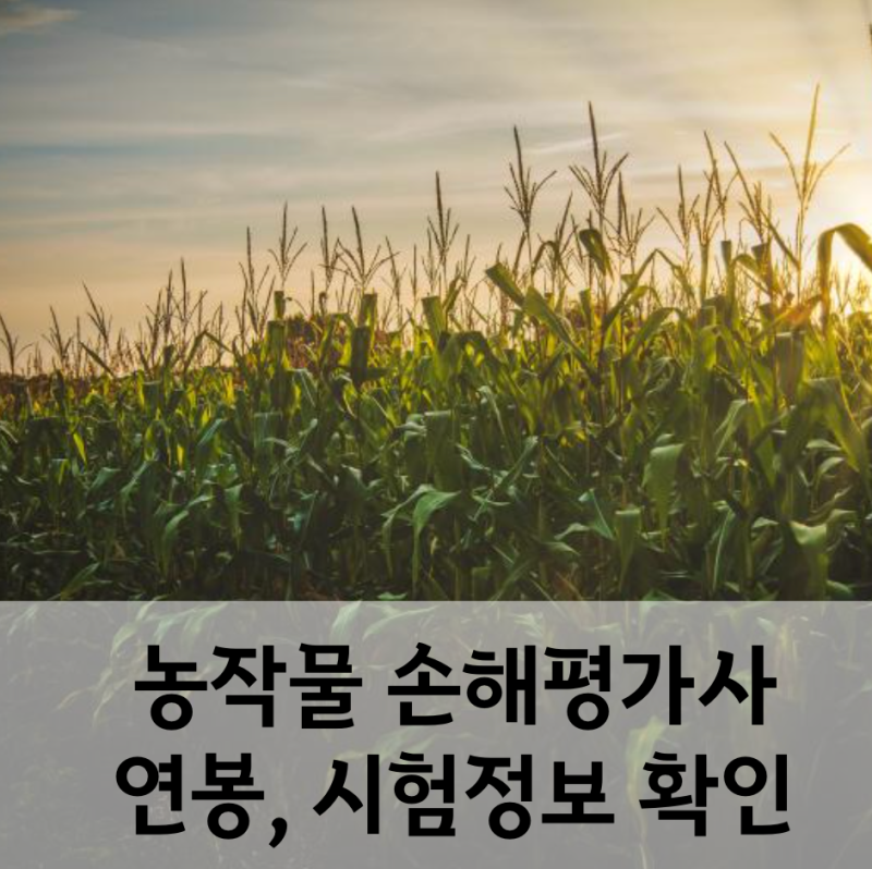 농작물 손해평가사 하는 일, 시험일정, 연봉과 전망