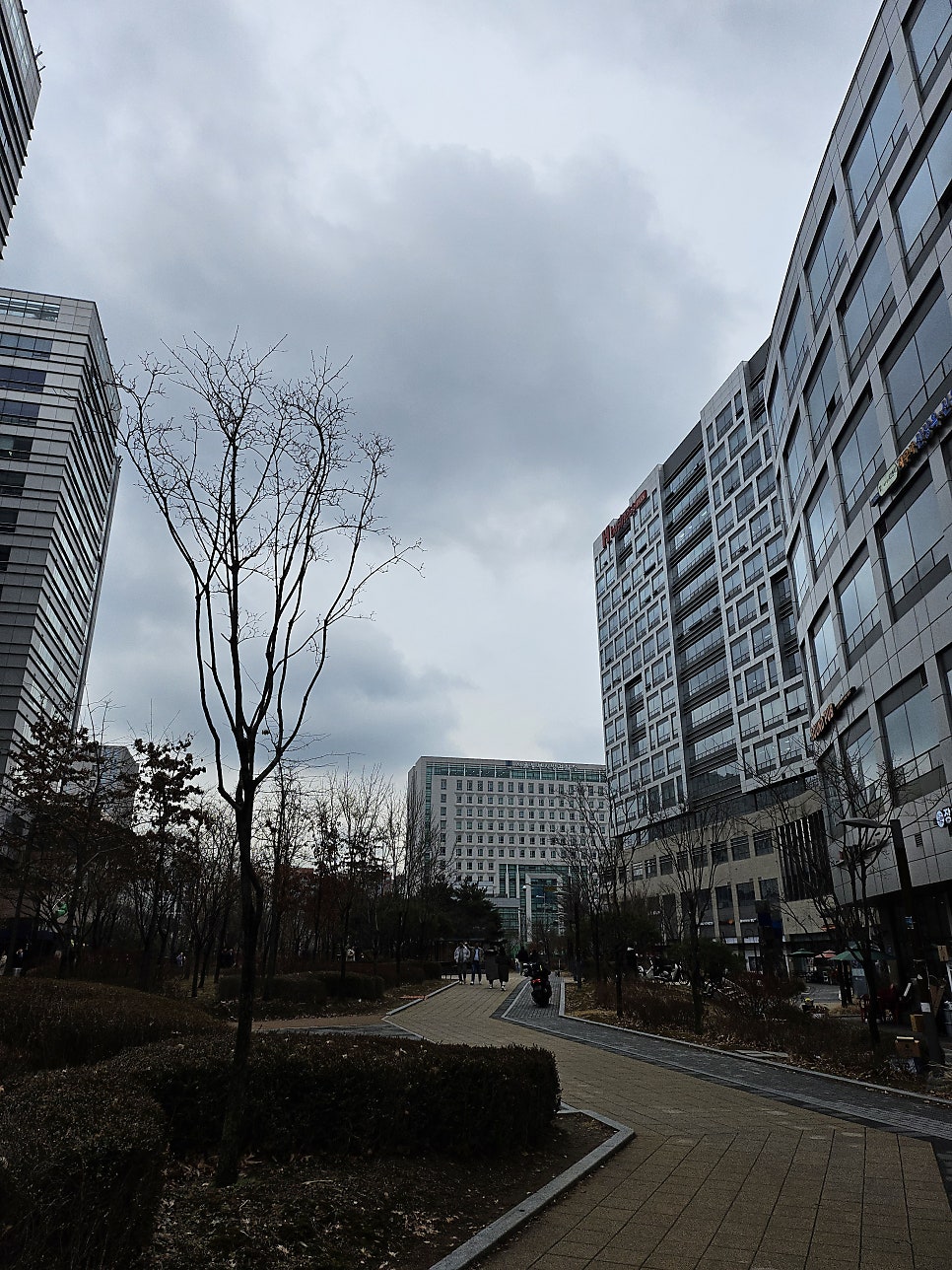 가회우 사진 6
