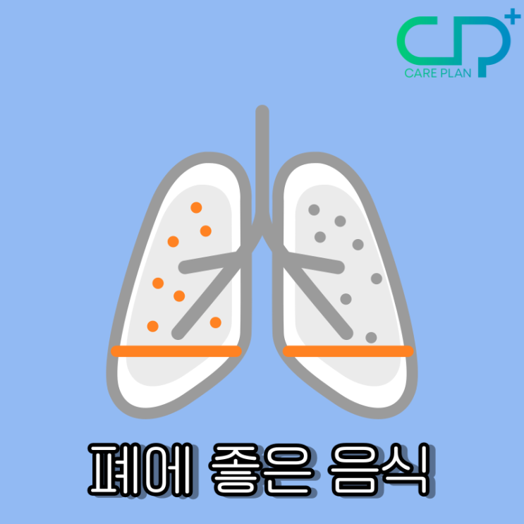  폐에 좋은 음식, 폐암 예방