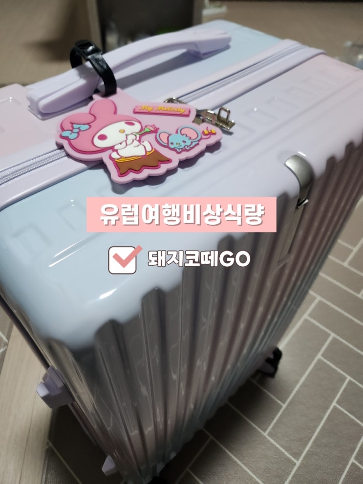  돼지코떼GO_유럽여행비상식량_유럽여행비상식량캐리어공개