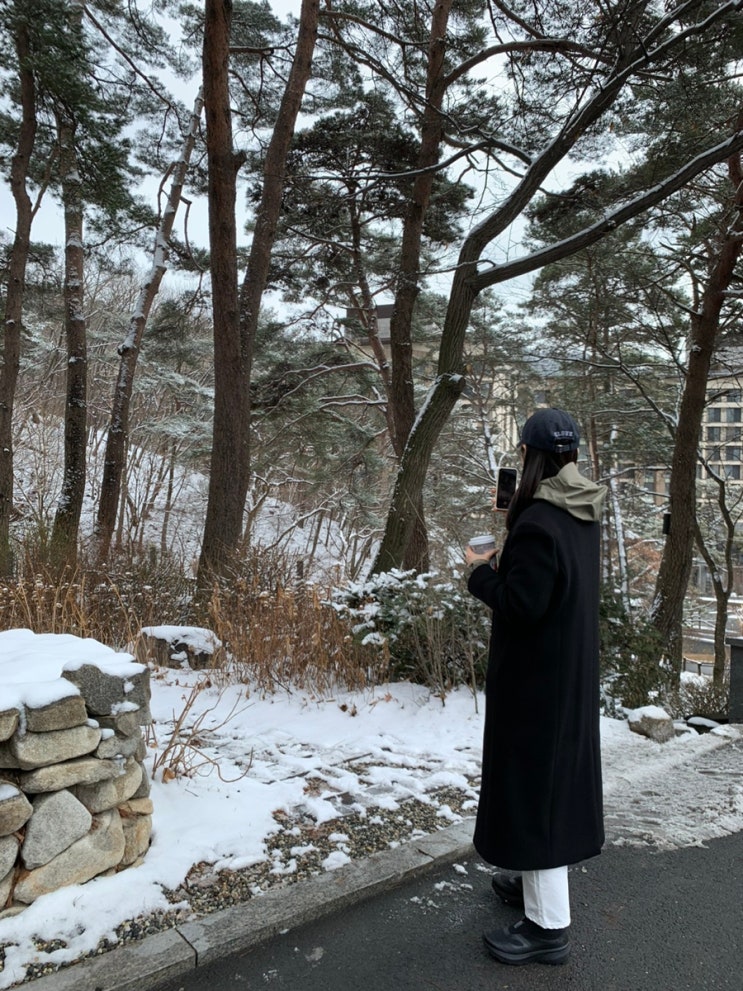  제천 리솜포레스트 후기(S25 villa clean, 스파 이용 / 체크인 & 방 배정 팁 포함)