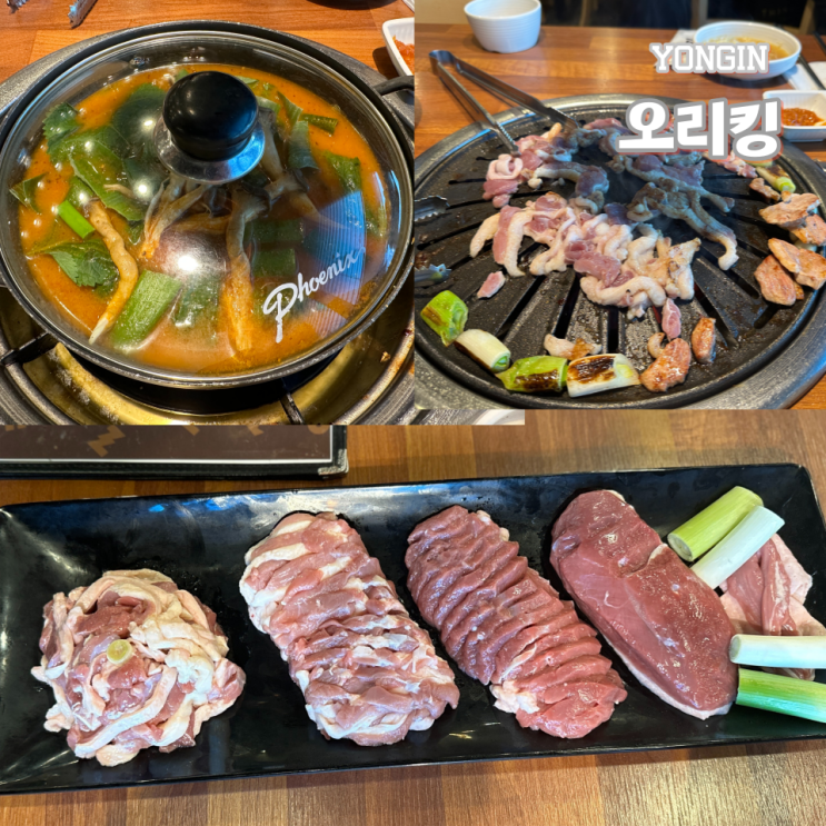  용인 에버랜드 고기 오리킹 재방문 생오리한마리 후기