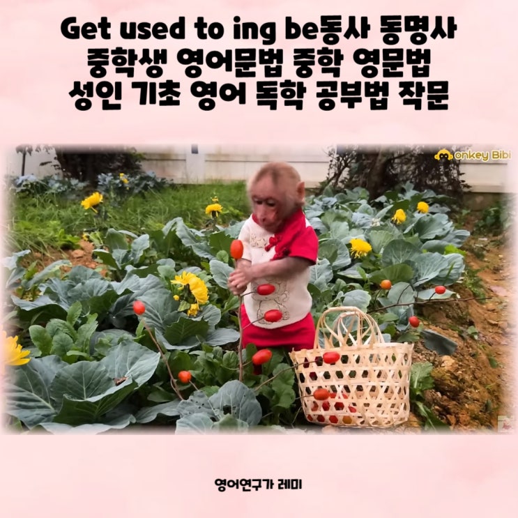 Get used to ing be동사 동명사 중학생 영어문법 중학 영문법 성인 기초 영어 독학 공부법 작문