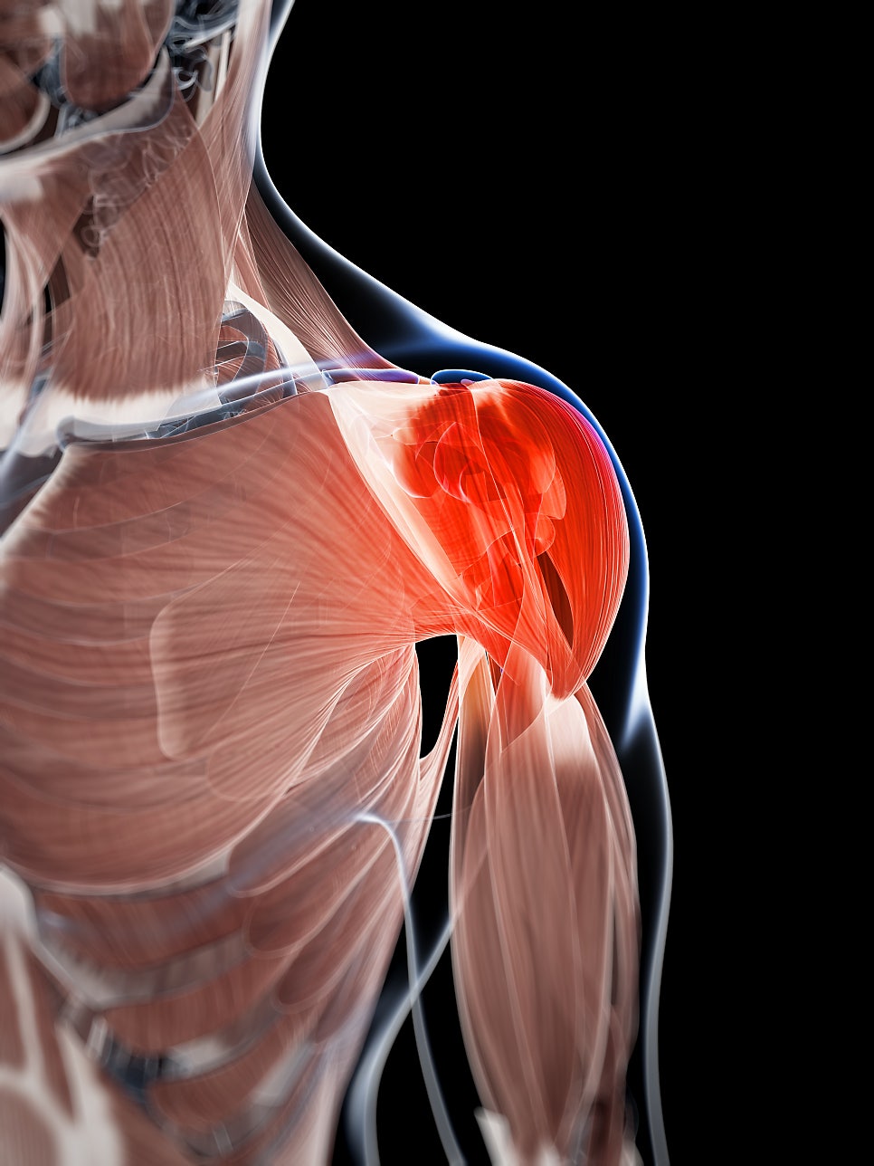 Shoulder Impingement Syndrome 1: How is your shoulder? (Causes and Symptoms) — 본문 그림