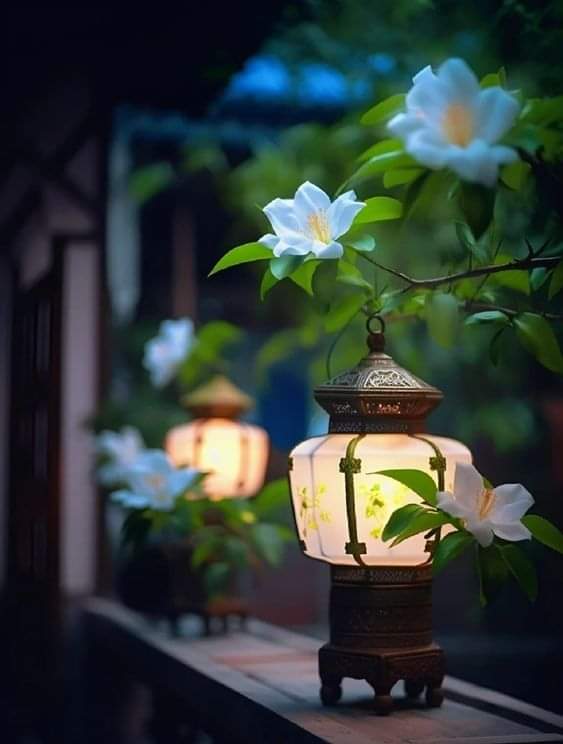   오늘의 생활정보 (2024-02-23, 금)