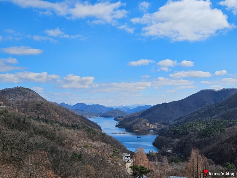 충주 계명산자연휴양림 호수뷰 숙소 무궁화 박달나무 출렁다리 산책길