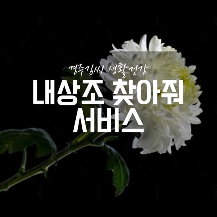  내상조 찾아줘 상조회사 상품금액 정보