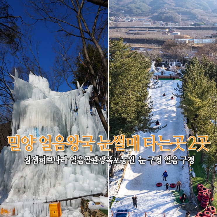  밀양 얼음왕국 눈썰매장 2곳 - 참샘허브나라 얼음골관광폭포농원 눈썰매 타기, 경남 눈구경 어디?