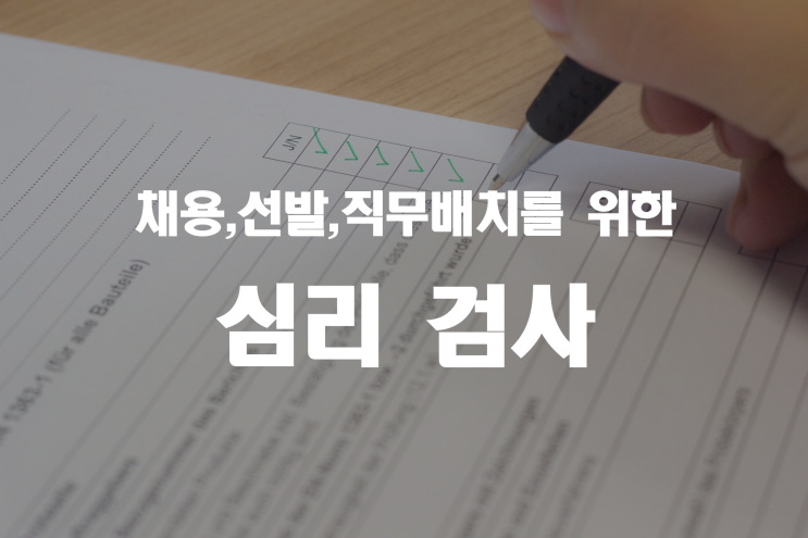  선발, 배치를 위한 심리검사 _ 기업진단지도