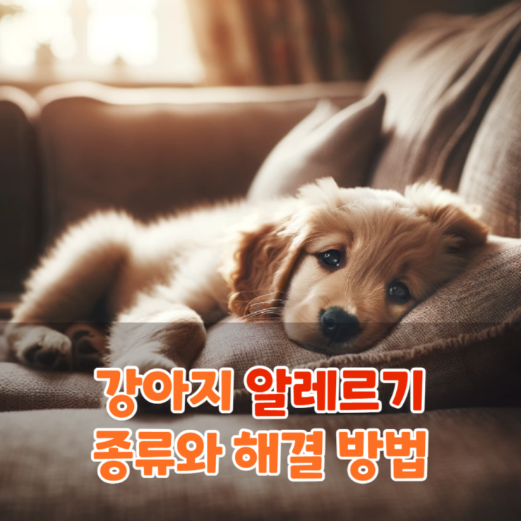 강아지 알레르기 종류와 해결 방법(원인, 증상, 예방법)