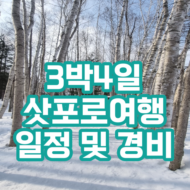  삿포로 3박4일 가성비 여행일정 및 1人총경비100만원 /영천 출발