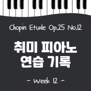 피아노 취미생의 쇼팽 에뛰드 대양 도전기 (Chopin etude op.25 no.12)_악보 다운로드