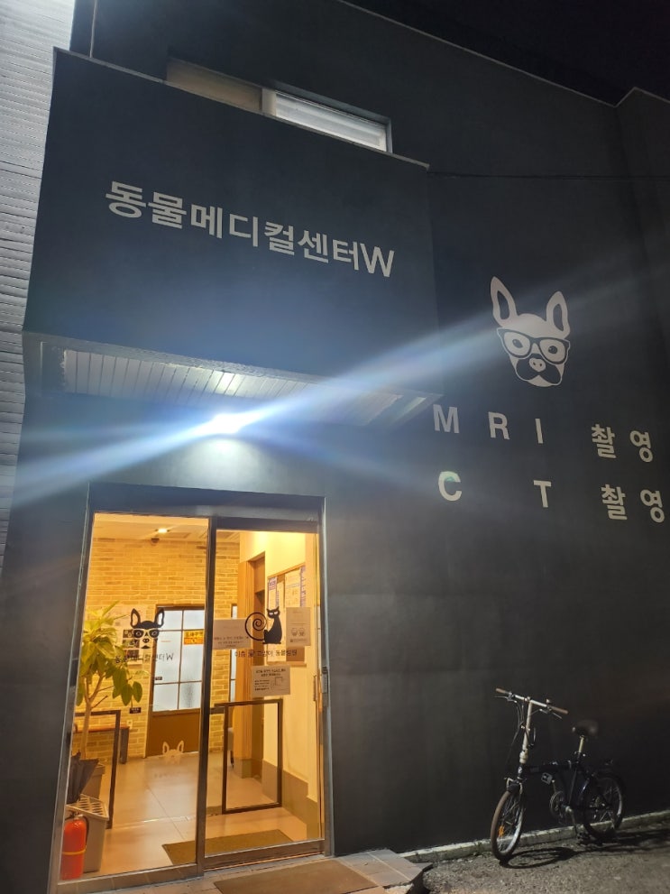  강아지 심장병 검사