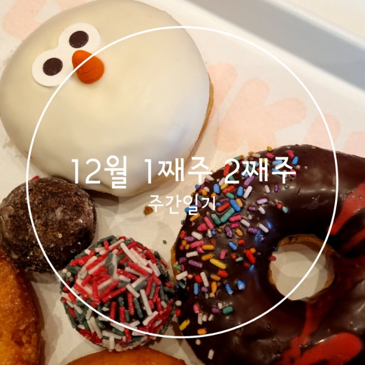  12월 1째주 2째주 주간일기 연말분위기