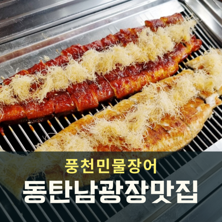  동탄 남광장 맛집 산삼 넣은 풍천민물장어 회식
