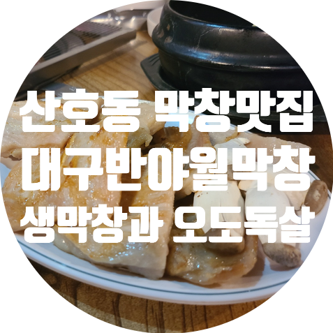  산호동 맛집 대구반야월막창 산호점 생막창과 오도독살 후기