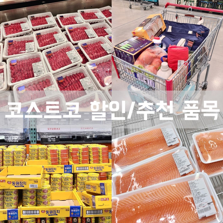  하남 코스트코 2월 마지막 주~3월 3일까지 세일 품목 추천 상품